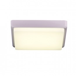 Светильник EVOLUCE SLE200212-01