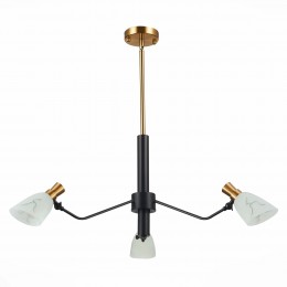 Светильник EVOLUCE SLE205403-03