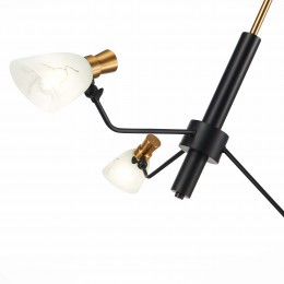 Светильник EVOLUCE SLE205403-03