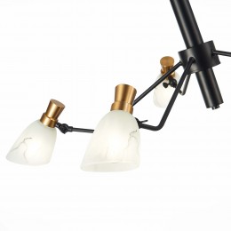 Светильник EVOLUCE SLE205403-05