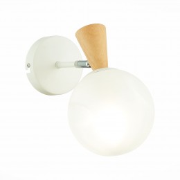 Светильник EVOLUCE SLE220701-01