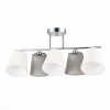 Светильник EVOLUCE SLE300402-05