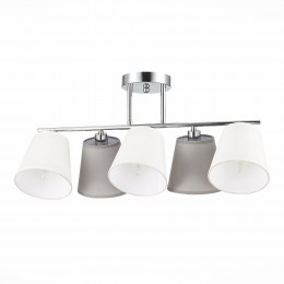 Светильник EVOLUCE SLE300402-05