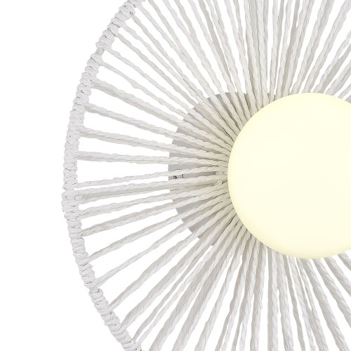 EVOLUCE SLE6022-501-01