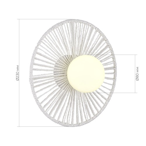EVOLUCE SLE6022-501-01