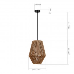 EVOLUCE SLE6025-613-01