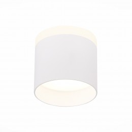 Потолочный светильник ST LUCE ST102.542.09