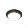 Светильник ST LUCE ST206.428.01