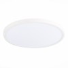 Потолочный светильник ST LUCE ST601.532.32