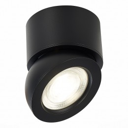 Потолочный светильник ST LUCE ST654.442.10