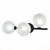 Светильник ST LUCE SL1184.411.03