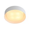 Светильник ST LUCE SL392.502.04
