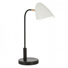 Светильник EVOLUCE SLE103604-01