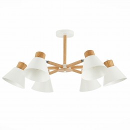 Светильник EVOLUCE SLE103702-06