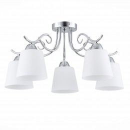 Светильник EVOLUCE SLE103902-05