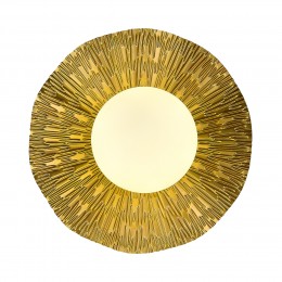 Светильник EVOLUCE SLE1196-301-01