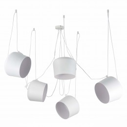 Светильник EVOLUCE SLE120653-05