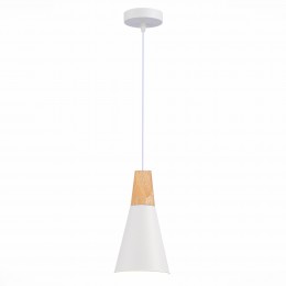 Светильник EVOLUCE SLE125153-01