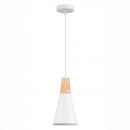 Светильник EVOLUCE SLE125153-01