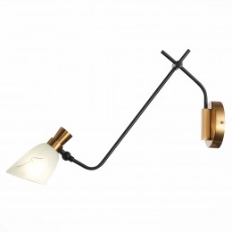 Светильник EVOLUCE SLE205401-01