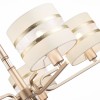 Светильник EVOLUCE SLE300203-05