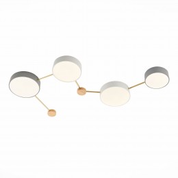 Светильник EVOLUCE SLE600102-04