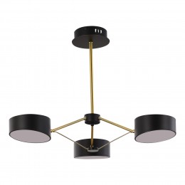 Светильник EVOLUCE SLE6005-402-03