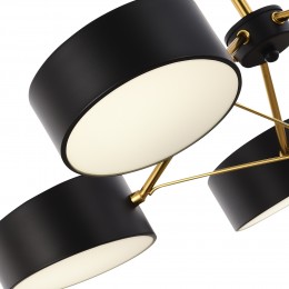 Светильник EVOLUCE SLE6005-402-03