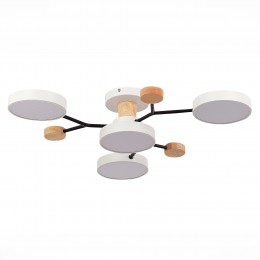 Светильник EVOLUCE SLE6006-502-04