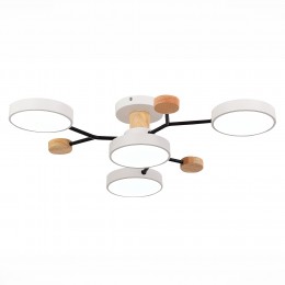 Светильник EVOLUCE SLE6006-502-04