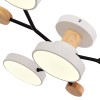 Светильник EVOLUCE SLE6006-502-04