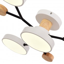 Светильник EVOLUCE SLE6006-502-04