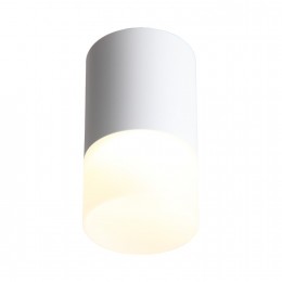 Потолочный светильник ST LUCE ST100.502.05