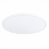 Потолочный светильник ST LUCE ST601.532.48