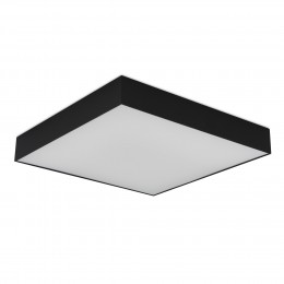 Потолочный светильник ST LUCE ST608.442.48