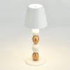 Светильник ST LUCE SL1011.514.01