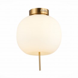 Светильник ST LUCE SL1621.202.01