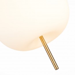 Светильник ST LUCE SL1621.203.01