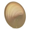 Светильник ST LUCE SL6900.501.16