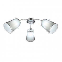 Светильник EVOLUCE SLE103002-03