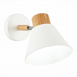 Светильник EVOLUCE SLE103701-01