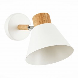 Светильник EVOLUCE SLE103701-01