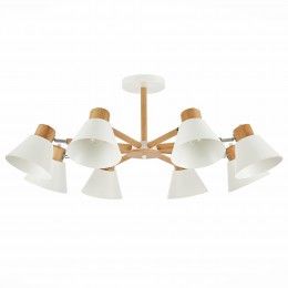 Светильник EVOLUCE SLE103702-08