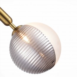 Светильник EVOLUCE SLE1096-203-01