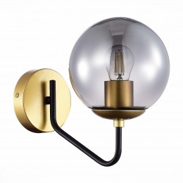 Светильник EVOLUCE SLE1097-301-01