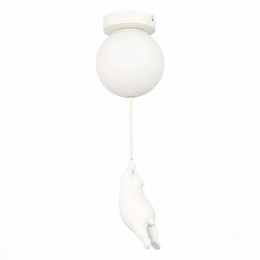 Светильник EVOLUCE SLE115402-01