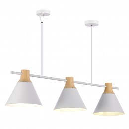 Светильник EVOLUCE SLE125103-03