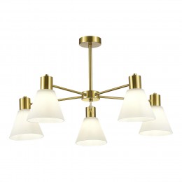 Светильник EVOLUCE SLE1561-302-05