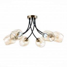 Светильник EVOLUCE SLE205302-06