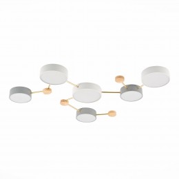 Светильник EVOLUCE SLE600102-06